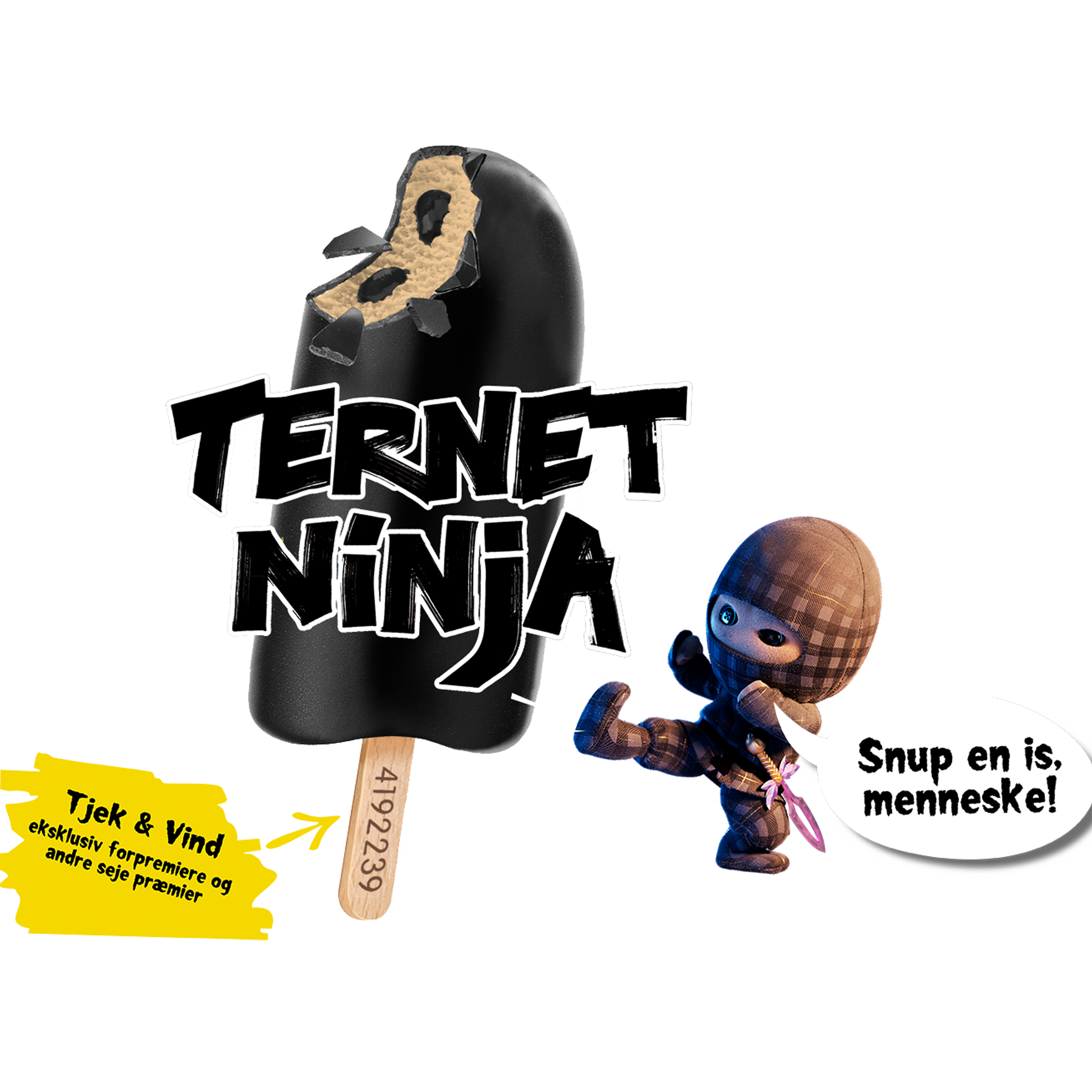 Ternet Ninja